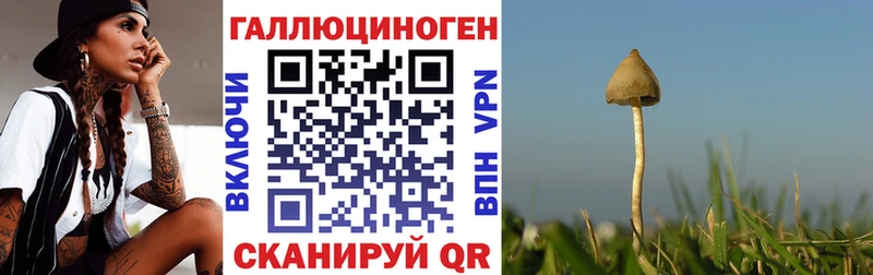 купить наркотики сайты  Плавск  Галлюциногенные грибы ЛСД 